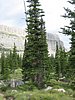 2008 Bob Marshall Wilderness Trip 128.jpg