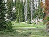 2008 Bob Marshall Wilderness Trip 142.jpg