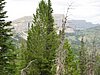 2008 Bob Marshall Wilderness Trip 154.jpg