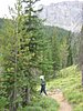 2008 Bob Marshall Wilderness Trip 166.jpg