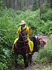 2008 Bob Marshall Wilderness Trip 170.jpg