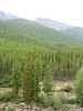 2008 Bob Marshall Wilderness Trip 183.jpg
