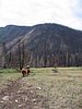 2008 Bob Marshall Wilderness Trip 185.jpg