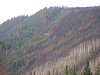 2008 Bob Marshall Wilderness Trip 188.jpg
