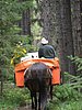 2008 Bob Marshall Wilderness Trip 191.jpg