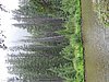 2008 Bob Marshall Wilderness Trip 244.jpg
