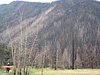 Greg on Baywood ponying OJ viewing the 07 wildfire damage.jpg