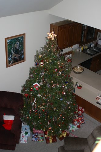 Family 2006 018.jpg
