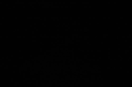 Family 2006 023.jpg