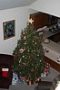 Family 2006 018.jpg
