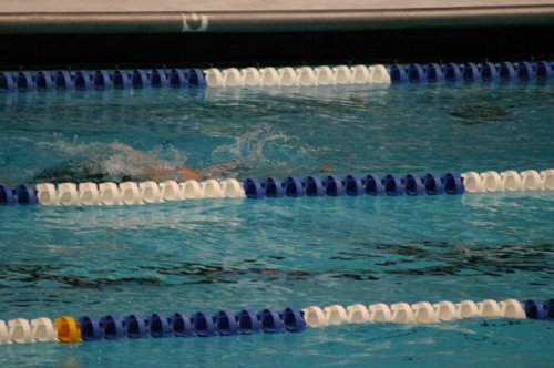 June2006 024.jpg