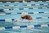 IMG_0468.JPG