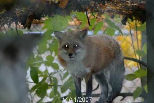 IMG_6583.JPG