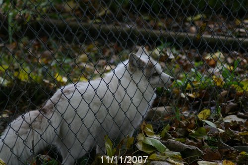 IMG_6584.JPG