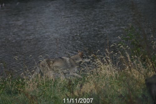 IMG_6586.JPG