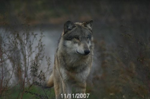 IMG_6597.JPG