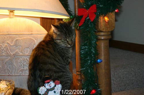IMG_6661.JPG