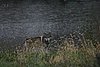 IMG_6587.JPG