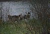 IMG_6590.JPG