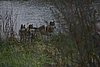IMG_6591.JPG