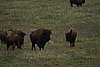 IMG_6598.JPG