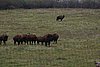 IMG_6599.JPG