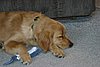 IMG_6652.JPG