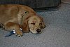 IMG_6654.JPG