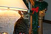 IMG_6662.JPG