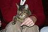 IMG_6668.JPG