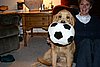 IMG_6671.JPG