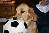 IMG_6674.JPG