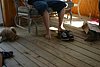 IMG_6366.JPG