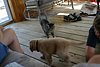 IMG_6369.JPG