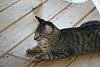 IMG_6373.JPG