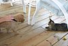 IMG_6374.JPG
