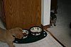 IMG_6377.JPG