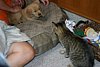 IMG_6379.JPG