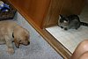 IMG_6382.JPG