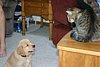 IMG_6393.JPG