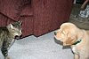IMG_6394.JPG