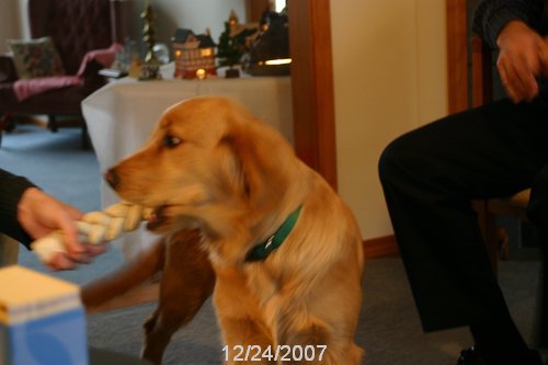 IMG_7069.JPG