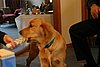 IMG_7069.JPG