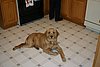 IMG_7074.JPG