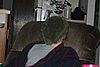 IMG_7075.JPG