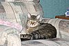 IMG_7077.JPG