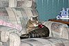 IMG_7078.JPG