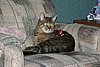 IMG_7079.JPG