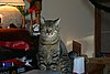 IMG_7097.JPG