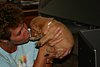 IMG_6054.JPG
